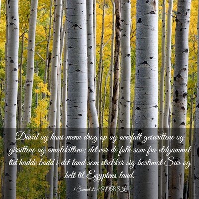Picture 03 - 1 Samuel 27:8 NORSK - David og hans menn drog op og overfalt - Bible Verse Picture