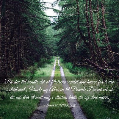 Picture 03 - 1 Samuel 28:1 NORSK - På den tid hendte det at filistrene samlet sine - Bible Verse Picture