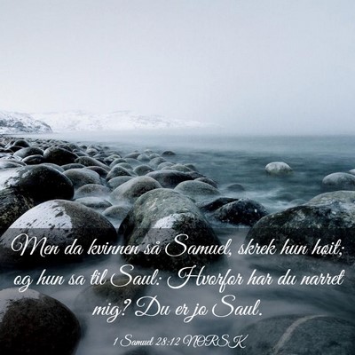 Picture 03 - 1 Samuel 28:12 NORSK - Men da kvinnen så Samuel, skrek hun høit; og - Bible Verse Picture