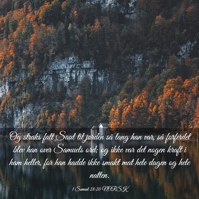 Picture 03 - 1 Samuel 28:20 NORSK - Og straks falt Saul til jorden så lang han var, - Bible Verse Picture
