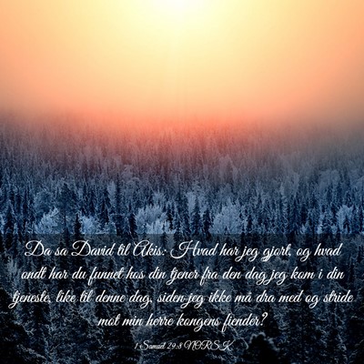 Picture 03 - 1 Samuel 29:8 NORSK - Da sa David til Akis: Hvad har jeg gjort, og hvad - Bible Verse Picture