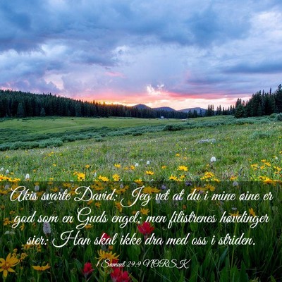 Picture 03 - 1 Samuel 29:9 NORSK - Akis svarte David: Jeg vet at du i mine øine er - Bible Verse Picture