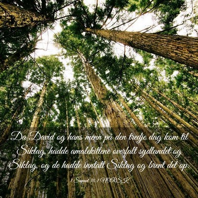 Picture 03 - 1 Samuel 30:1 NORSK - Da David og hans menn på den tredje dag kom til - Bible Verse Picture
