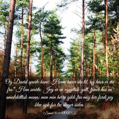 Picture 03 - 1 Samuel 30:13 NORSK - Og David spurte ham: Hvem hører du til, og hvor - Bible Verse Picture