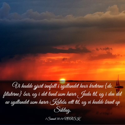 Picture 03 - 1 Samuel 30:14 NORSK - Vi hadde gjort innfall i sydlandet hvor kreterne - Bible Verse Picture