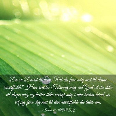 Picture 03 - 1 Samuel 30:15 NORSK - Da sa David til ham: Vil du føre mig ned til - Bible Verse Picture