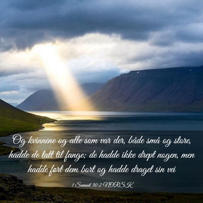 Picture 03 - 1 Samuel 30:2 NORSK - Og kvinnene og alle som var der, både små og - Bible Verse Picture