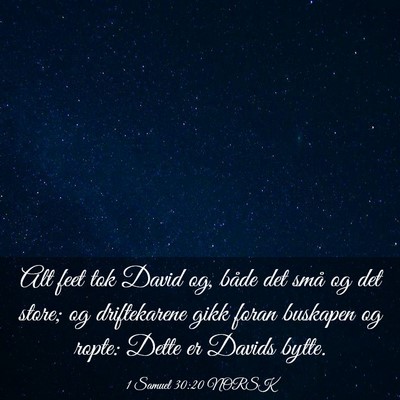 Picture 03 - 1 Samuel 30:20 NORSK - Alt feet tok David og, både det små og det - Bible Verse Picture