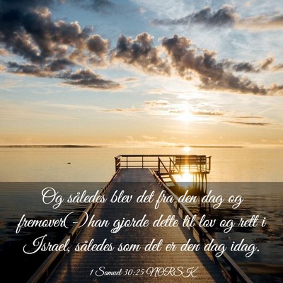Picture 03 - 1 Samuel 30:25 NORSK - Og således blev det fra den dag og - Bible Verse Picture
