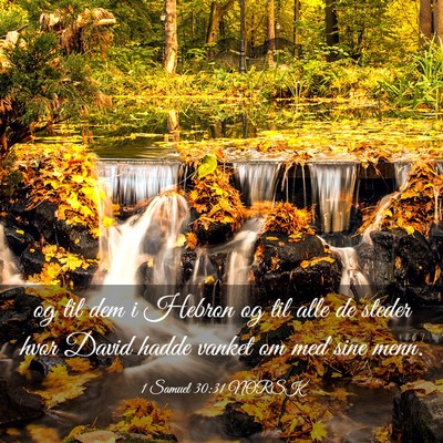 Picture 03 - 1 Samuel 30:31 NORSK - og til dem i Hebron og til alle de steder hvor - Bible Verse Picture