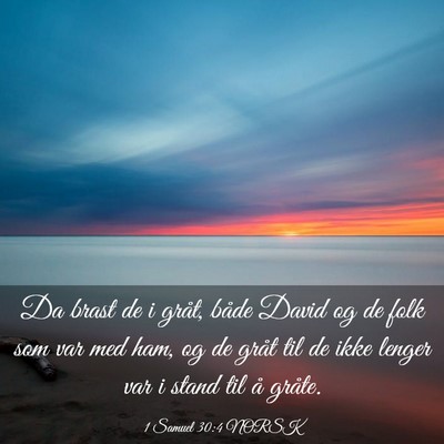 Picture 03 - 1 Samuel 30:4 NORSK - Da brast de i gråt, både David og de folk som - Bible Verse Picture