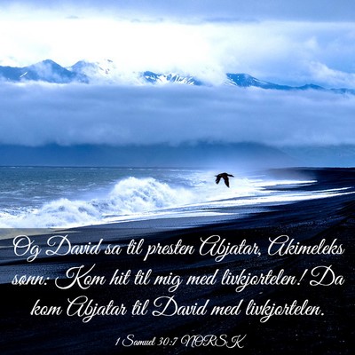 Picture 03 - 1 Samuel 30:7 NORSK - Og David sa til presten Abjatar, Akimeleks sønn: - Bible Verse Picture