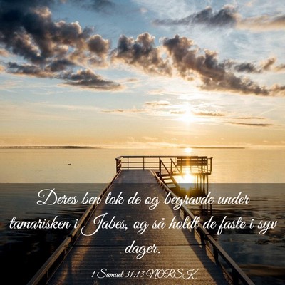 Picture 03 - 1 Samuel 31:13 NORSK - Deres ben tok de og begravde under tamarisken i - Bible Verse Picture