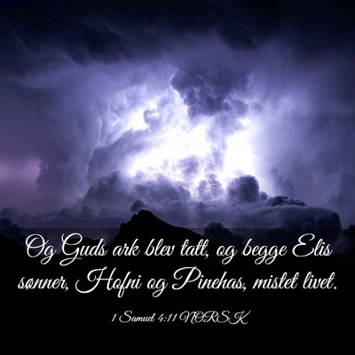 Picture 03 - 1 Samuel 4:11 NORSK - Og Guds ark blev tatt, og begge Elis sønner, - Bible Verse Picture