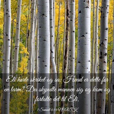 Picture 03 - 1 Samuel 4:14 NORSK - Eli hørte skriket og sa: Hvad er dette for en - Bible Verse Picture