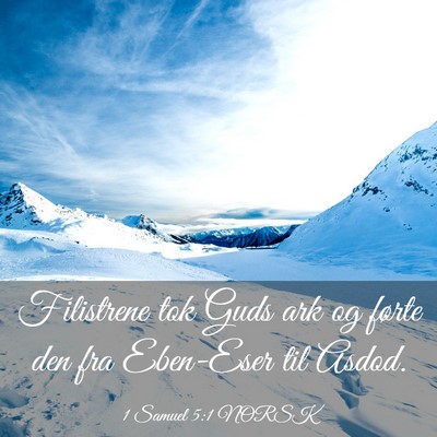 Picture 03 - 1 Samuel 5:1 NORSK - Filistrene tok Guds ark og førte den fra - Bible Verse Picture