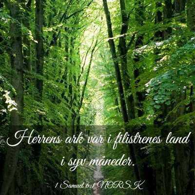 Picture 03 - 1 Samuel 6:1 NORSK - Herrens ark var i filistrenes land i syv - Bible Verse Picture