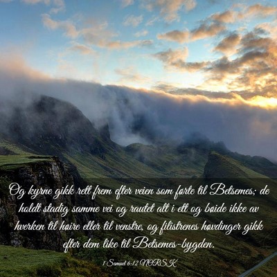 Picture 03 - 1 Samuel 6:12 NORSK - Og kyrne gikk rett frem efter veien som førte - Bible Verse Picture