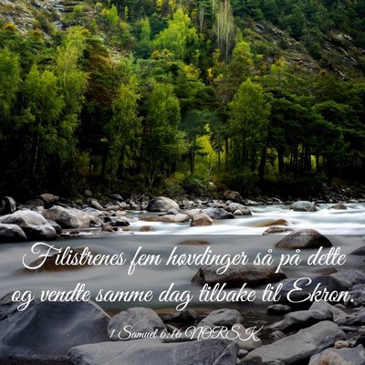 Picture 03 - 1 Samuel 6:16 NORSK - Filistrenes fem høvdinger så på dette og - Bible Verse Picture