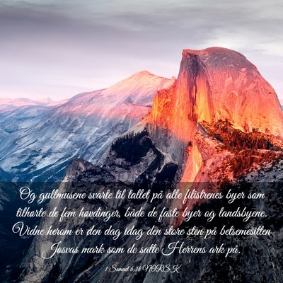 Picture 03 - 1 Samuel 6:18 NORSK - Og gullmusene svarte til tallet på alle - Bible Verse Picture