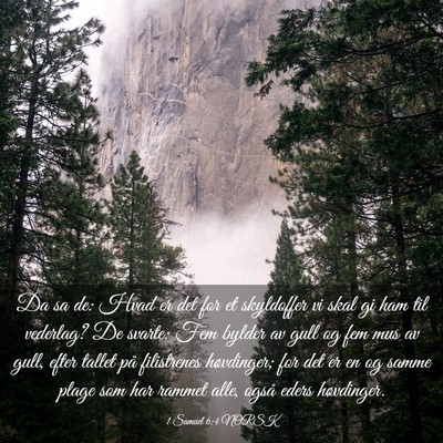 Picture 03 - 1 Samuel 6:4 NORSK - Da sa de: Hvad er det for et skyldoffer vi skal - Bible Verse Picture