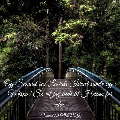 Picture 03 - 1 Samuel 7:5 NORSK - Og Samuel sa: La hele Israel samle sig i Mispa! - Bible Verse Picture