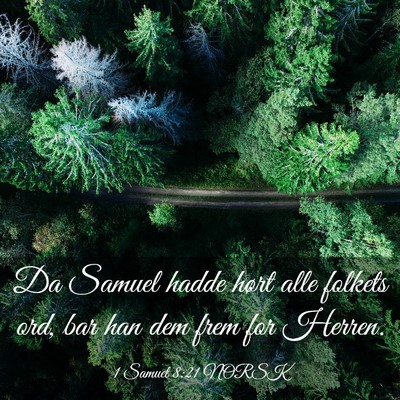 Picture 03 - 1 Samuel 8:21 NORSK - Da Samuel hadde hørt alle folkets ord, bar han - Bible Verse Picture