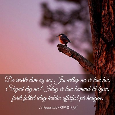 Picture 03 - 1 Samuel 9:12 NORSK - De svarte dem og sa: Ja, nettop nu er han her. - Bible Verse Picture