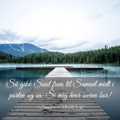 Picture 03 - 1 Samuel 9:18 NORSK - Så gikk Saul frem til Samuel midt i porten og - Bible Verse Picture