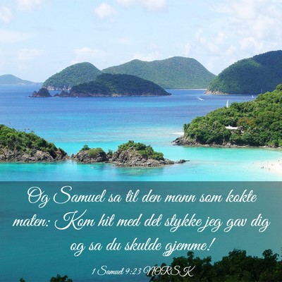 Picture 03 - 1 Samuel 9:23 NORSK - Og Samuel sa til den mann som kokte maten: Kom - Bible Verse Picture
