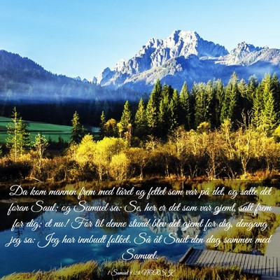 Picture 03 - 1 Samuel 9:24 NORSK - Da kom mannen frem med låret og fettet som var - Bible Verse Picture