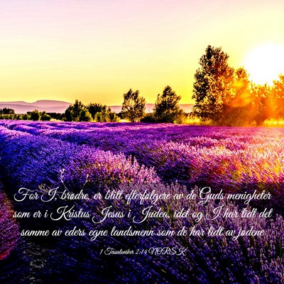 Picture 03 - 1 Tessaloniker 2:14 NORSK - For I, brødre, er blitt efterfølgere av de Guds - Bible Verse Picture