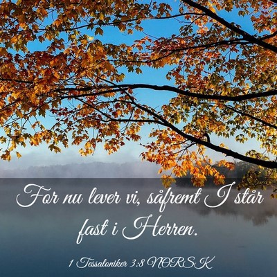 Picture 03 - 1 Tessaloniker 3:8 NORSK - For nu lever vi, såfremt I står fast i - Bible Verse Picture