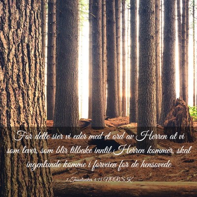 Picture 03 - 1 Tessaloniker 4:15 NORSK - For dette sier vi eder med et ord av Herren at vi - Bible Verse Picture