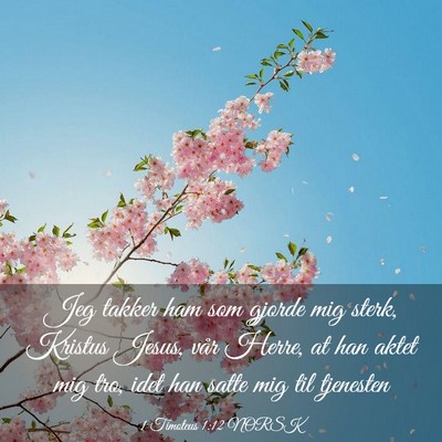 Picture 03 - 1 Timoteus 1:12 NORSK - Jeg takker ham som gjorde mig sterk, Kristus - Bible Verse Picture