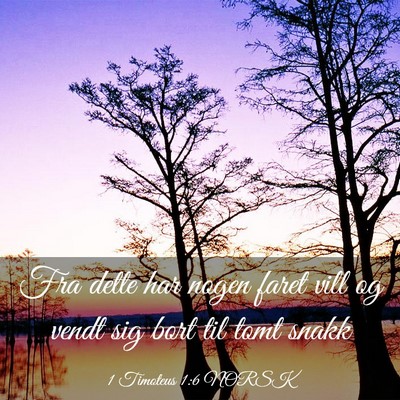 Picture 03 - 1 Timoteus 1:6 NORSK - Fra dette har nogen faret vill og vendt sig bort - Bible Verse Picture