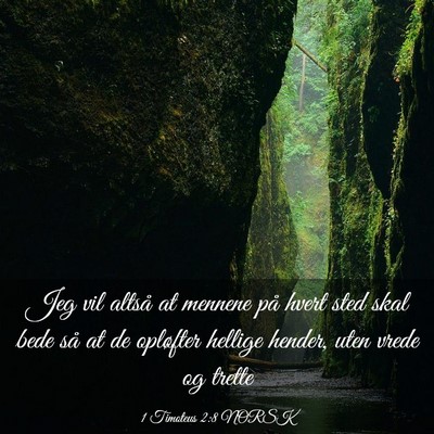 Picture 03 - 1 Timoteus 2:8 NORSK - Jeg vil altså at mennene på hvert sted skal - Bible Verse Picture
