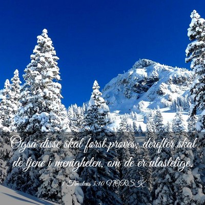 Picture 03 - 1 Timoteus 3:10 NORSK - Også disse skal først prøves; derefter skal de - Bible Verse Picture