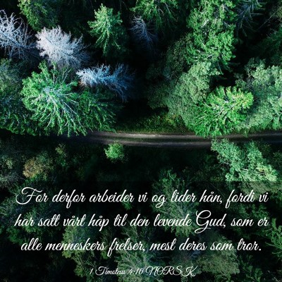 Picture 03 - 1 Timoteus 4:10 NORSK - For derfor arbeider vi og lider hån, fordi vi - Bible Verse Picture