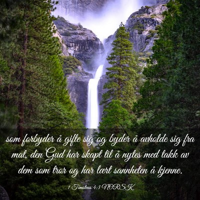 Picture 03 - 1 Timoteus 4:3 NORSK - som forbyder å gifte sig og byder å avholde sig - Bible Verse Picture