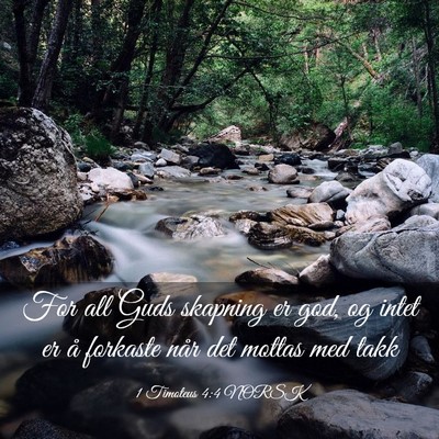 Picture 03 - 1 Timoteus 4:4 NORSK - For all Guds skapning er god, og intet er å - Bible Verse Picture