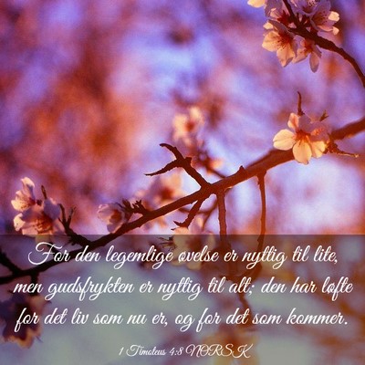 Picture 03 - 1 Timoteus 4:8 NORSK - For den legemlige øvelse er nyttig til lite, men - Bible Verse Picture