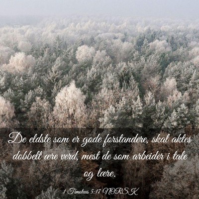Picture 03 - 1 Timoteus 5:17 NORSK - De eldste som er gode forstandere, skal aktes - Bible Verse Picture