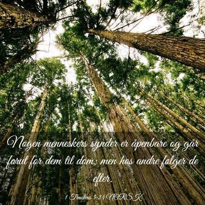 Picture 03 - 1 Timoteus 5:24 NORSK - Nogen menneskers synder er åpenbare og går - Bible Verse Picture