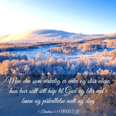Picture 03 - 1 Timoteus 5:5 NORSK - Men den som virkelig er enke og står alene, hun - Bible Verse Picture