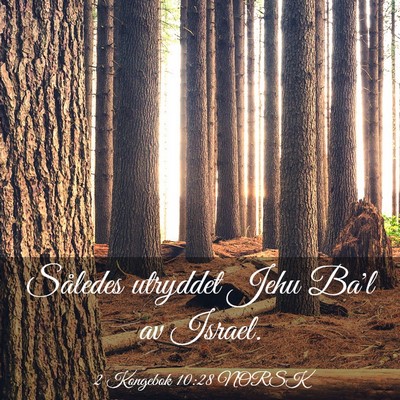 Picture 03 - 2 Kongebok 10:28 NORSK - Således utryddet Jehu Ba'l av - Bible Verse Picture