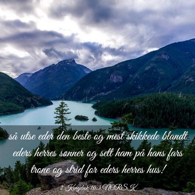 Picture 03 - 2 Kongebok 10:3 NORSK - så utse eder den beste og mest skikkede blandt - Bible Verse Picture