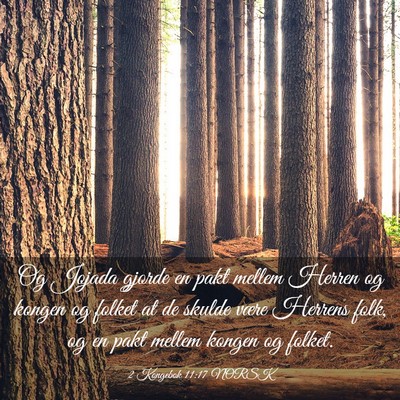 Picture 03 - 2 Kongebok 11:17 NORSK - Og Jojada gjorde en pakt mellem Herren og kongen - Bible Verse Picture