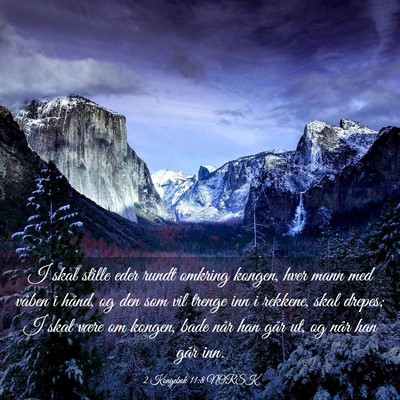 Picture 03 - 2 Kongebok 11:8 NORSK - I skal stille eder rundt omkring kongen, hver - Bible Verse Picture
