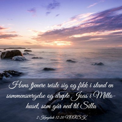 Picture 03 - 2 Kongebok 12:20 NORSK - Hans tjenere reiste sig og fikk i stand en - Bible Verse Picture